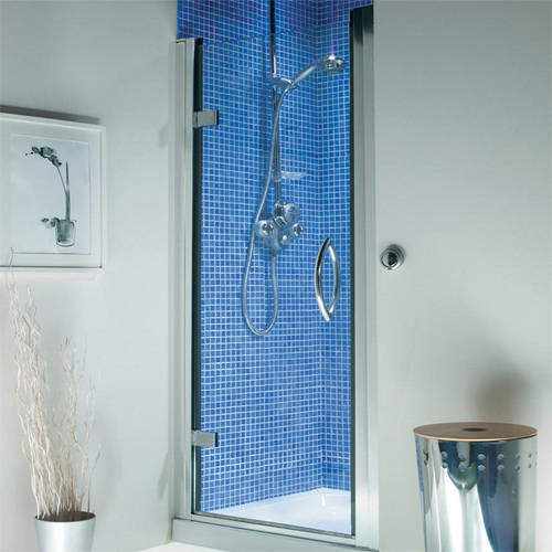 Roman Collage Hinged Shower Door (760/800x1830, Silver).