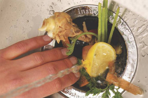 Example image of InSinkErator Model 46 Continuous Feed Waste Disposal Unit & Air Switch