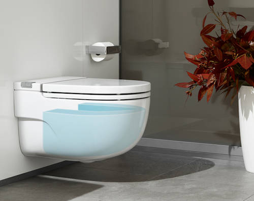 Example image of Roca In Tank Wall Hung Pan With Integrated Cistern & Seat (Solid Wall "I" Type).