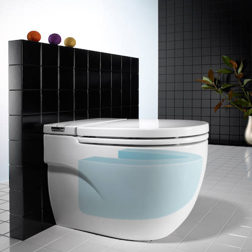 Example image of Roca In Tank Back To Wall Pan With Integrated Cistern (BTW).